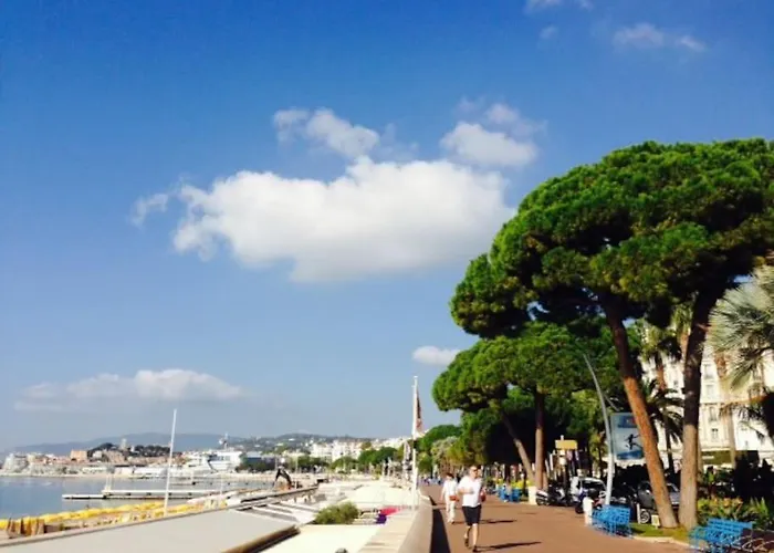 Mythique Miramar Croisette Terrasse Clim Parking Wifi